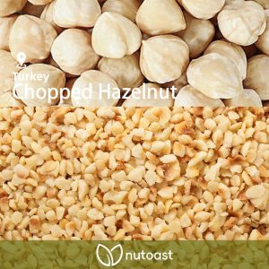 Nutoast Wholesale Chopped Hazelnut, Roasted