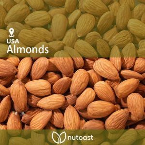 Nutoast Wholesale Premium Almond Kernels, Roasted
