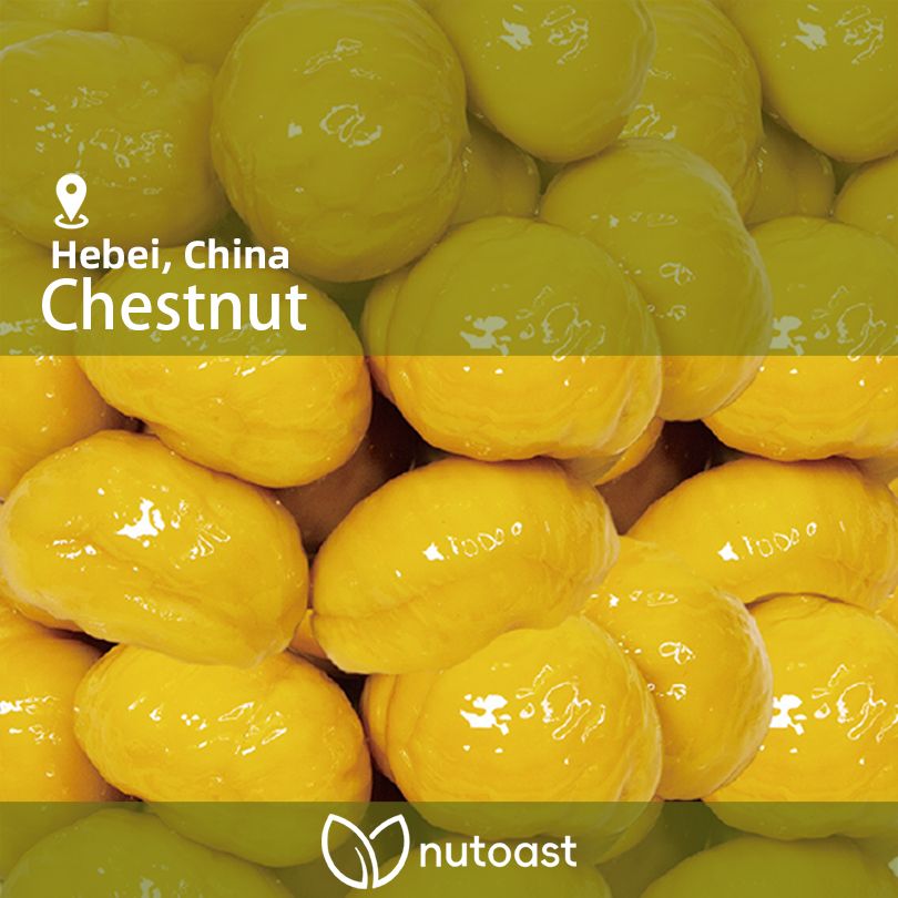 Premier Chestnut Kernels, Roasted