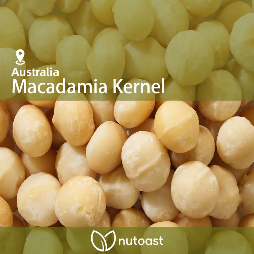 Macadamia Kernel, Raw